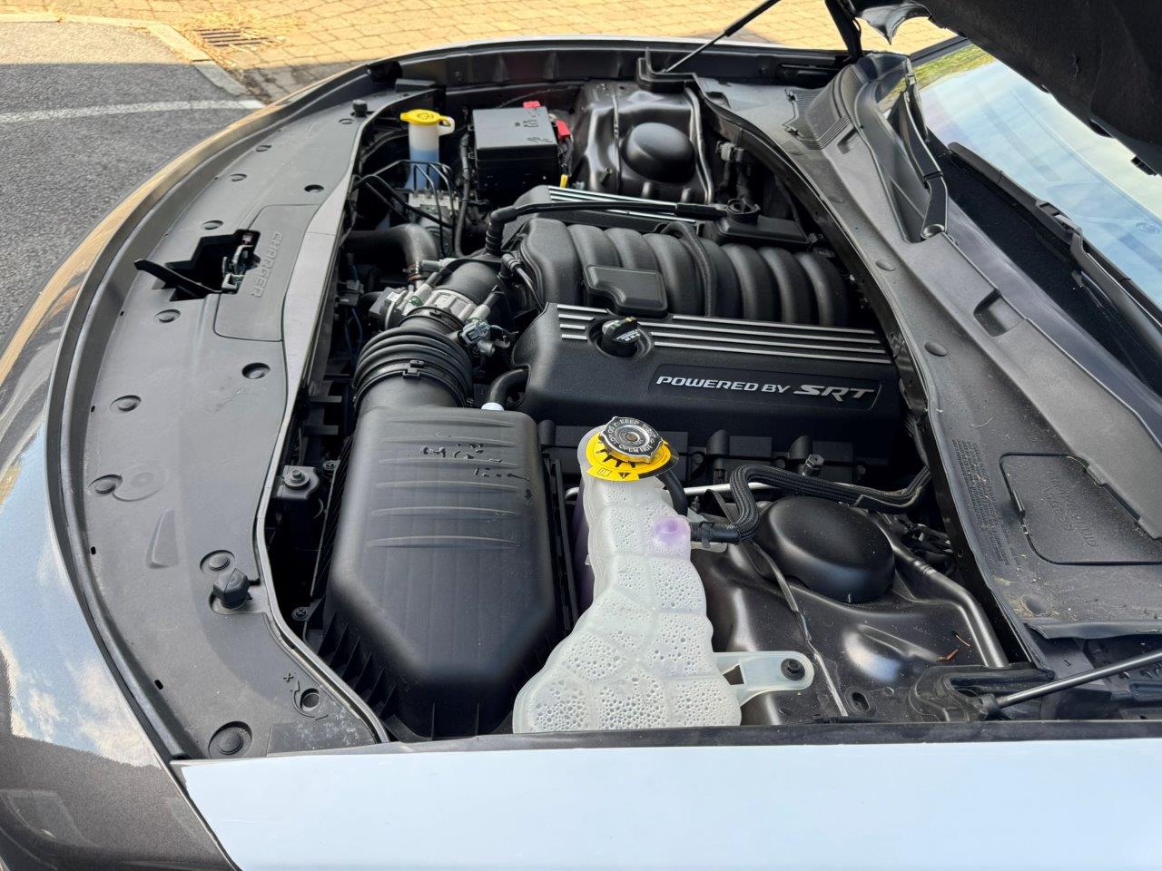 stock-image
